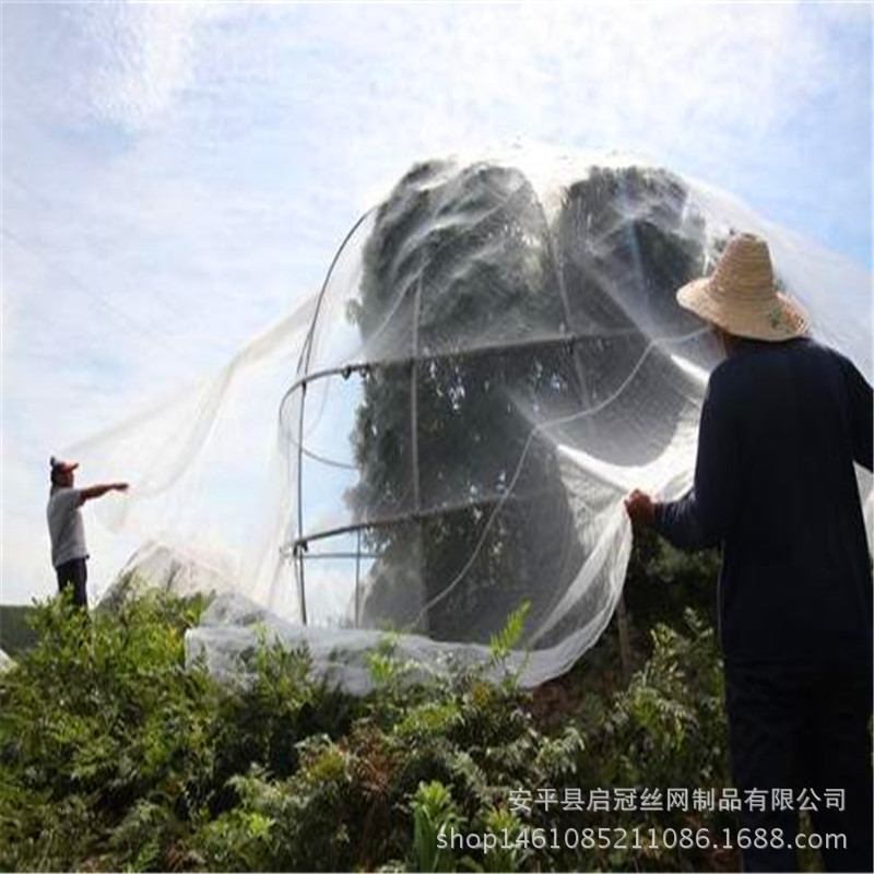供應【塑料尼龍窗紗】 農產品防蚊蟲紗網防蟲網大棚用常用網工廠,批發,進口,代購