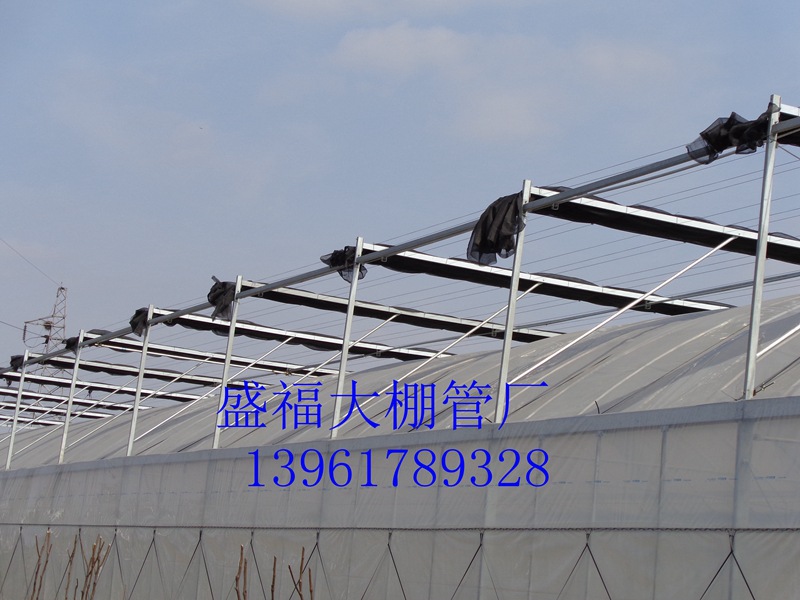 專業生產設計及安裝連棟大棚骨架 內外遮陽 質保工廠,批發,進口,代購