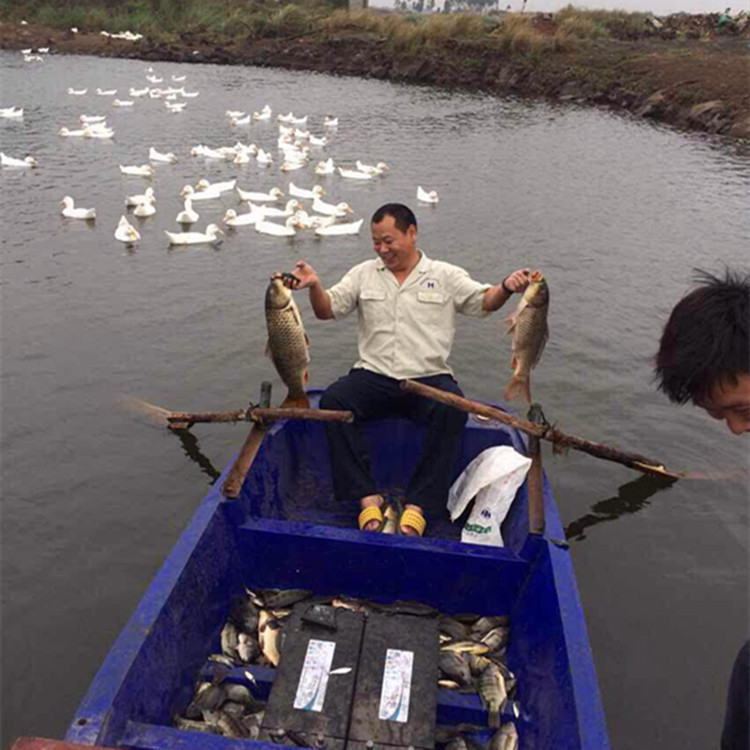 南通批發3米塑料小船 塑料打漁船3米 旅遊觀光船 水產養殖船價格工廠,批發,進口,代購