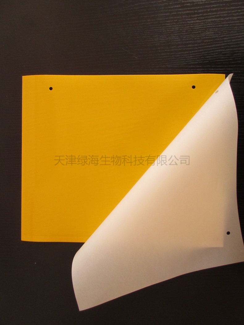25*30cm規格雙麵覆膜黏蟲板，pp塑料材質，量大從優，誘蟲板。批發・進口・工廠・代買・代購