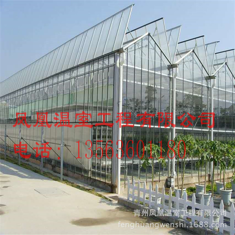 溫室大棚 智能溫室 玻璃溫室 連棟溫室 日光溫室 溫室配件工廠,批發,進口,代購