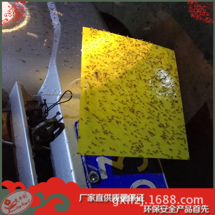 廠傢直供 綠色環保 特效滅瓜果蔬菜黏蟲板工廠,批發,進口,代購