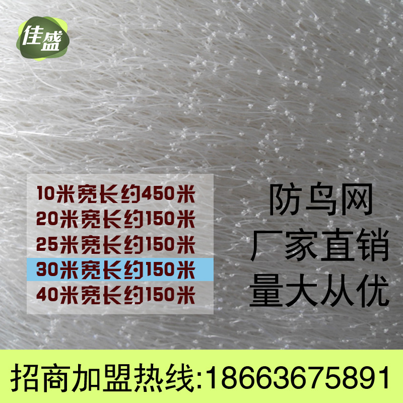 30米寬廠傢直銷果園防鳥網 葡萄防鳥網 傢禽網 養殖網 尼龍網批發・進口・工廠・代買・代購