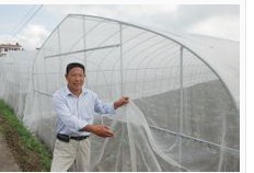 防蟲網  使用壽命長 價格低廉批發・進口・工廠・代買・代購