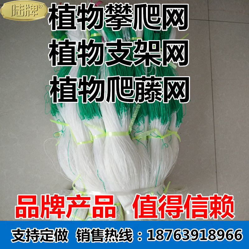 山藥網 芹菜網 絲瓜網 豆角網 辣椒網 扁豆網 豌豆網 苦瓜網工廠,批發,進口,代購