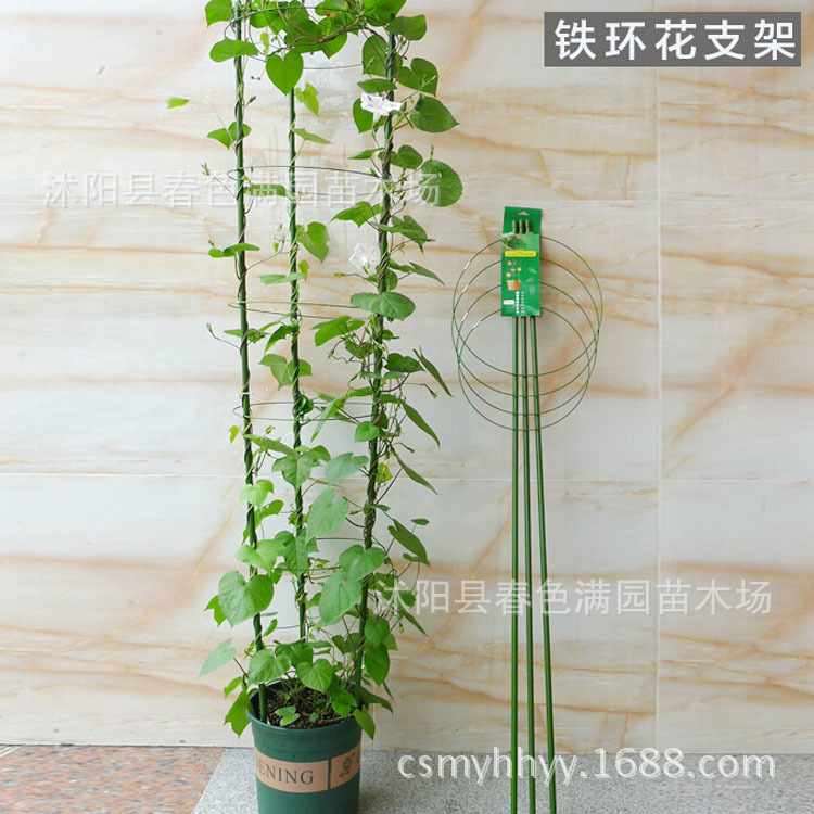園藝用品  鐵環花支架攀爬植物專用花架批發・進口・工廠・代買・代購