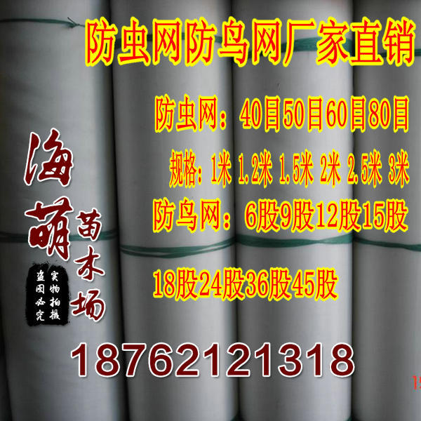 批發全新料防蟲網大棚防蟲網果樹蔬菜紗窗防蟲桌罩菜罩大棚防蟲網工廠,批發,進口,代購