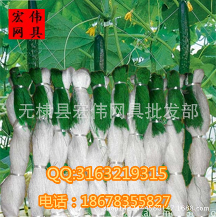 黃瓜 絲瓜 苦瓜 山藥各種植物爬藤網 9股吊瓜爬藤網2x100廠傢直銷工廠,批發,進口,代購