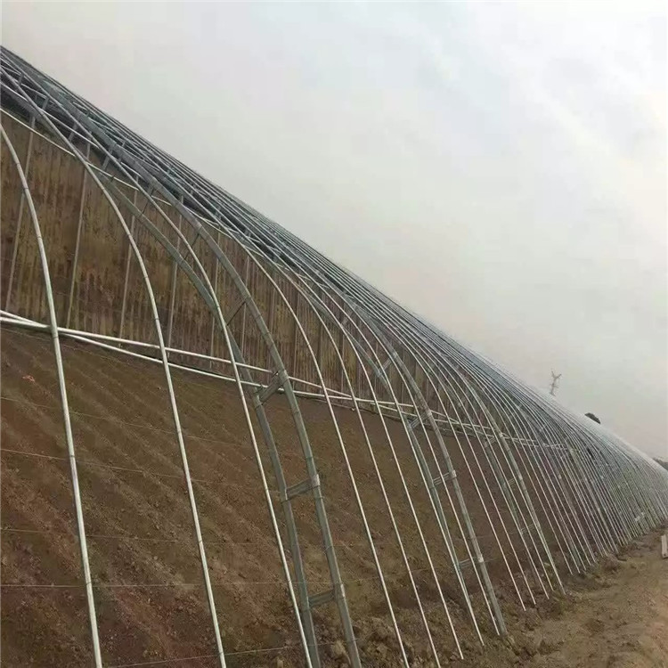 熱鍍鋅大棚管 蔬菜連身大棚管 養殖大棚管 溫室大棚骨架工廠,批發,進口,代購