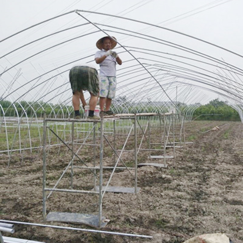 建設一個簡易大棚需要多少錢？重慶大棚鋼管廠！優質優價工廠,批發,進口,代購