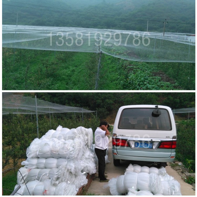 透明單絲尼龍網園林櫻桃種植園防鳥網養殖網隱形偽裝網批發・進口・工廠・代買・代購