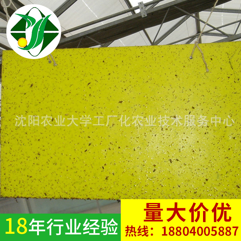 熱銷供應溫室配套設備 蔬菜大棚黏蟲板 黃色捕蟲板批發・進口・工廠・代買・代購