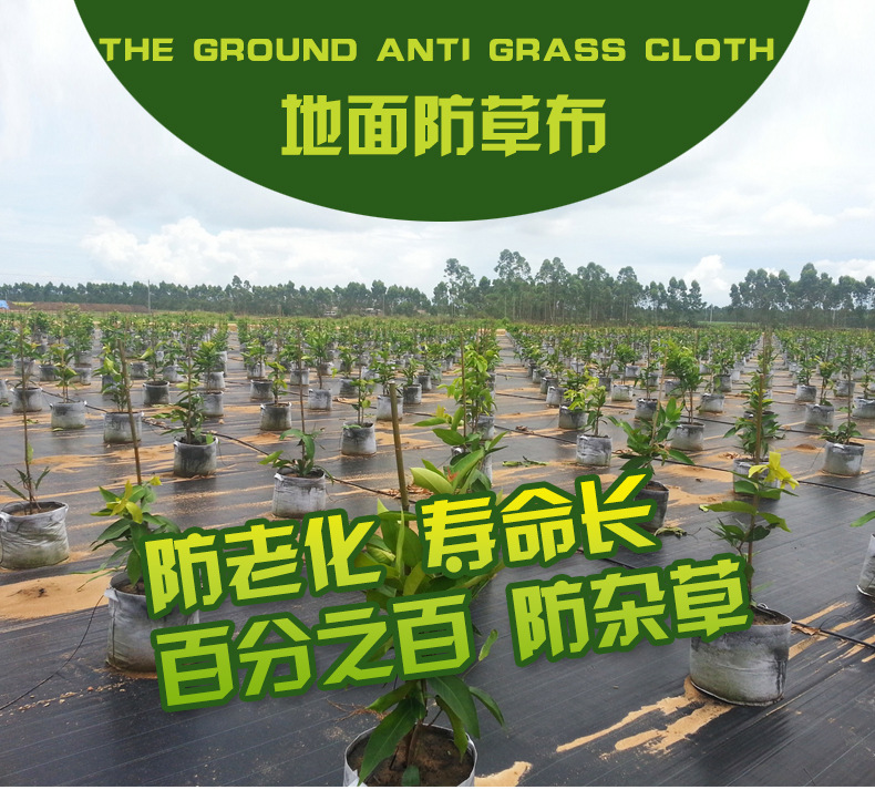 龍興園藝地佈防草佈除草佈除草墊佈抑草佈果園防草除草佈保用5年批發・進口・工廠・代買・代購