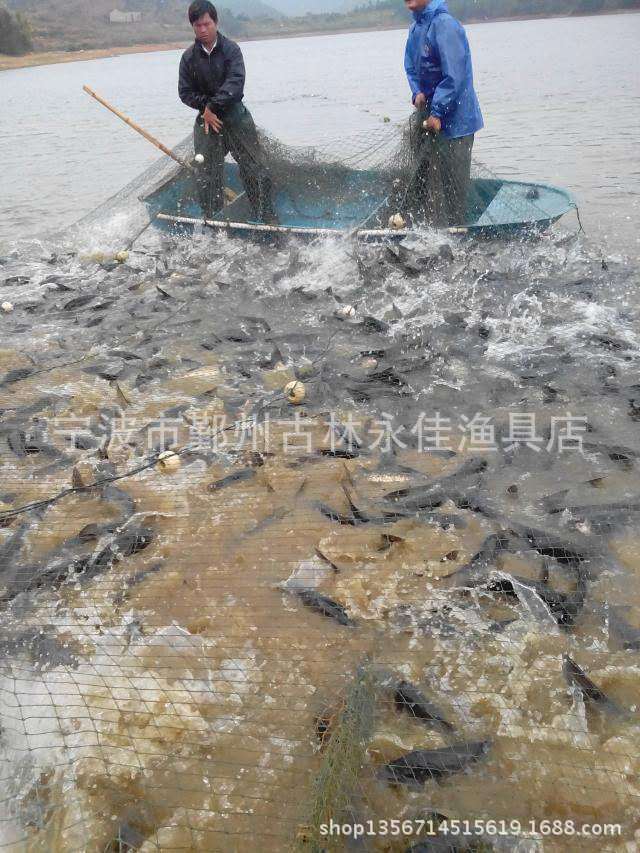 寧波深水水庫免費捕撈隊工廠,批發,進口,代購