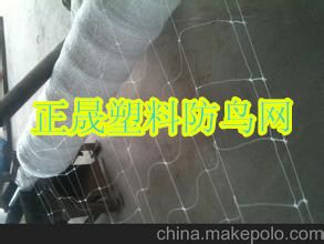 生產供應 果樹防鳥網 防鳥防護網 聚乙烯葡萄防鳥網批發・進口・工廠・代買・代購
