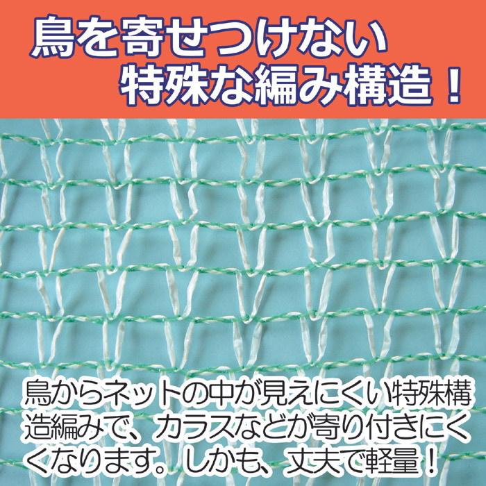 常州廠傢大量供應優質PE防鴉網防鳥網批發・進口・工廠・代買・代購