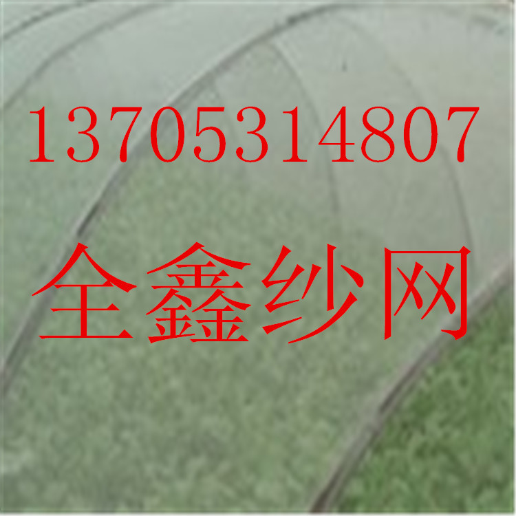 本廠生產40目防蟲網  溫室大棚防蟲網 質量保證 廠傢批發銷售批發・進口・工廠・代買・代購