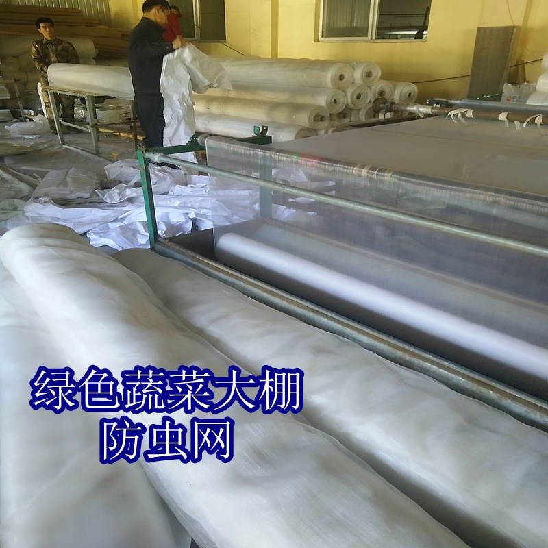熱銷產品 60目大棚防蟲網 綠色蔬菜大棚防蟲網 寬度可定批發・進口・工廠・代買・代購