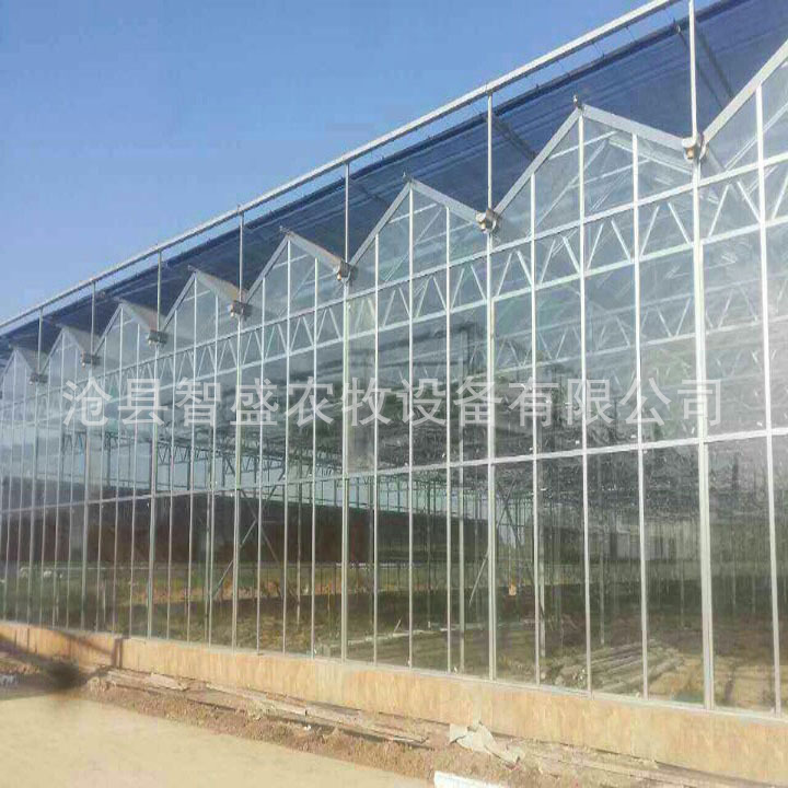 廠傢直銷 溫室大棚 玻璃大棚 玻璃溫室 育苗聯棟大棚 量大從優批發・進口・工廠・代買・代購