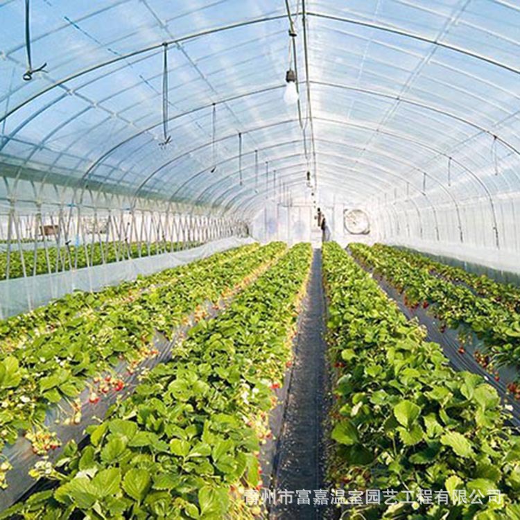 陽光板溫室 玻璃溫室 智能溫室 日光花卉溫室智能溫室 設計安裝工廠,批發,進口,代購