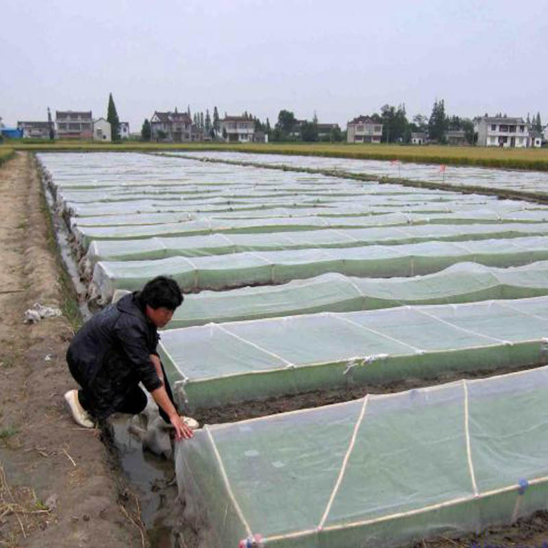 廠傢批發蔬菜大棚防蟲網40目防蟲網園藝花卉防蟲網農業批發・進口・工廠・代買・代購