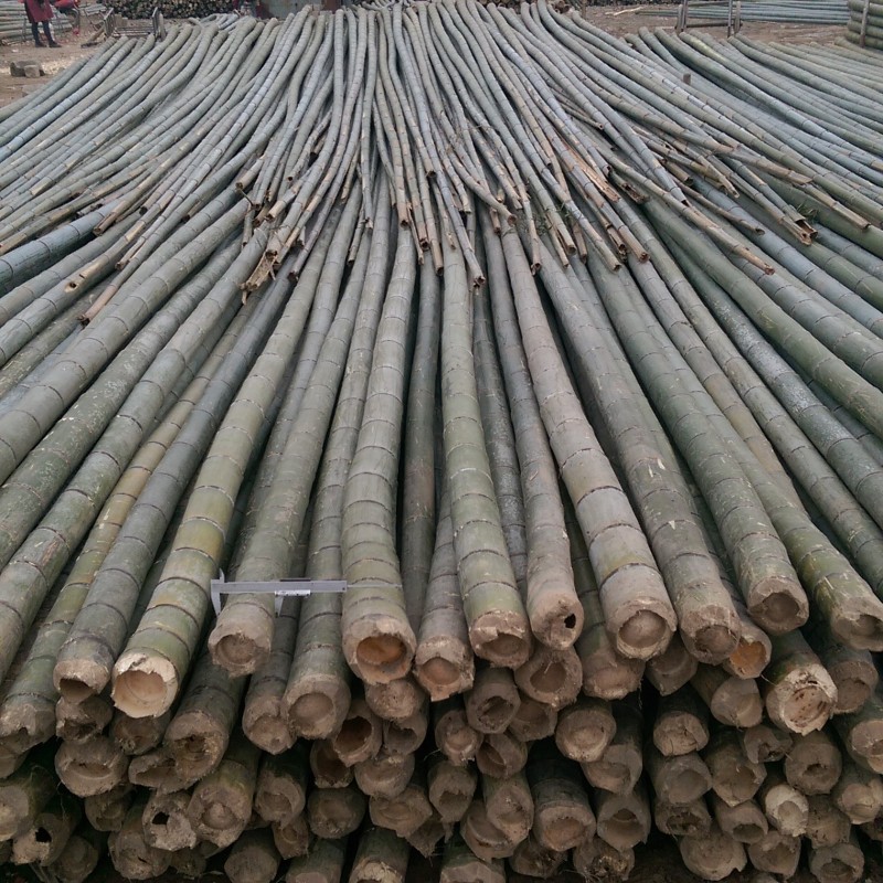 大量供應大棚小竹竿 毛竹梢 農用菜架竹等竹類品種多多批發・進口・工廠・代買・代購