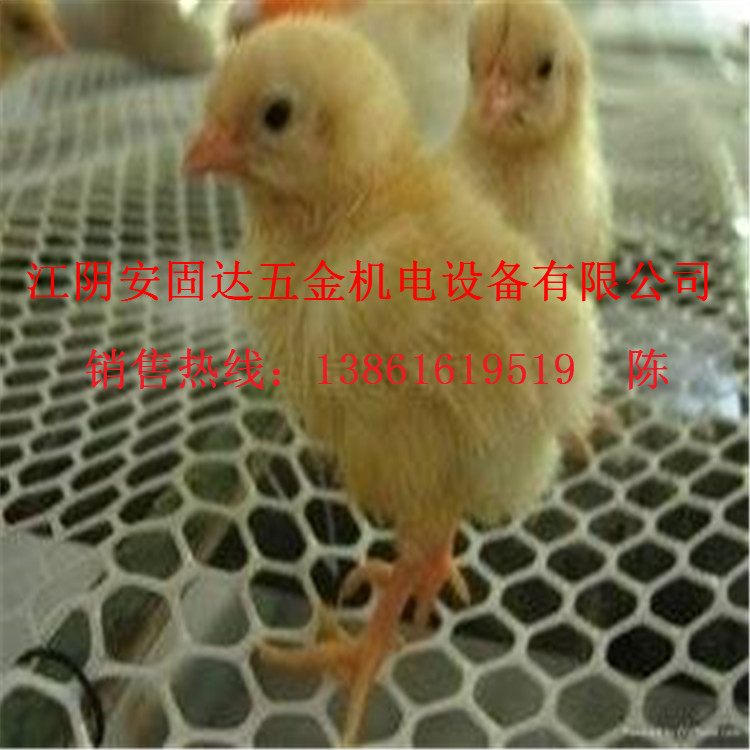 塑料平網傢禽養殖網 聚乙烯塑料養雞網 塑料網片塑料養殖網 養雞批發・進口・工廠・代買・代購