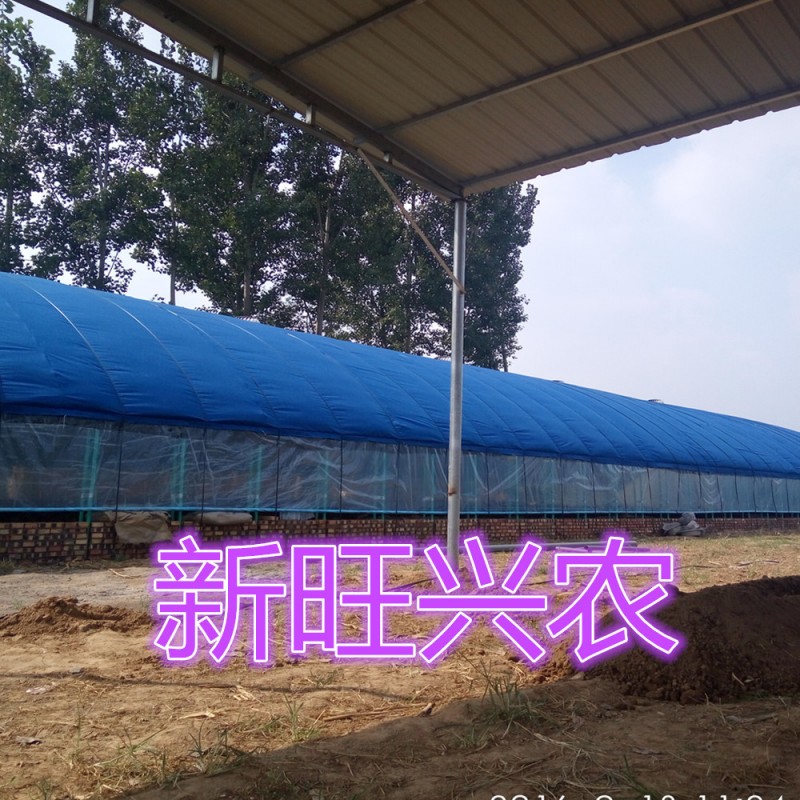 新旺興農聚氯剛管保溫大棚7307種植大棚建設工廠,批發,進口,代購