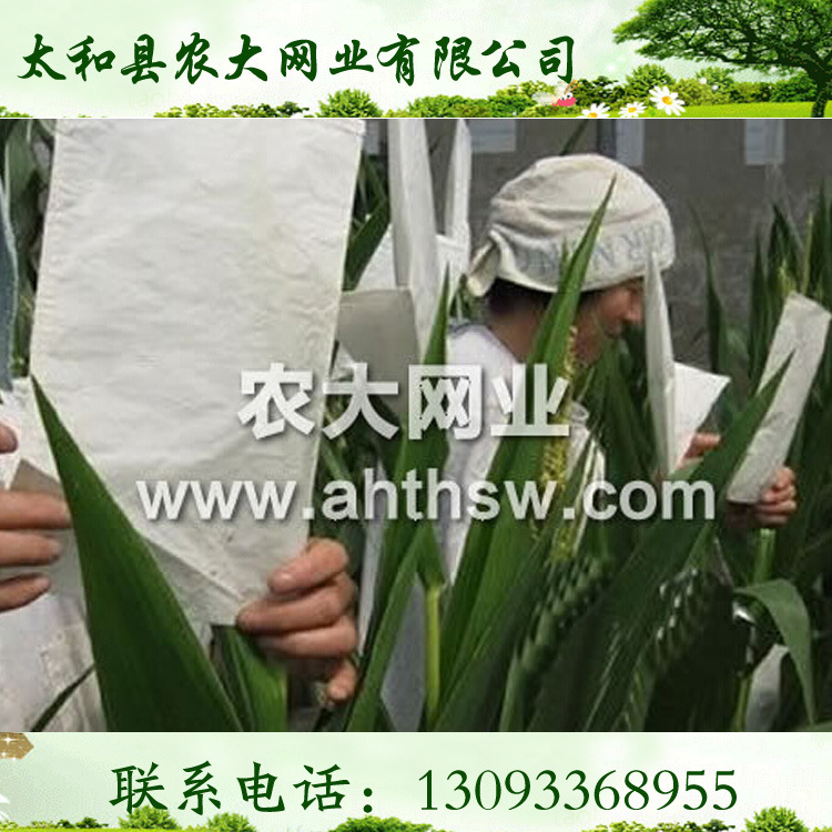 定做硫酸紙袋 植物羊皮紙 小麥雜交袋 歡迎選購工廠,批發,進口,代購