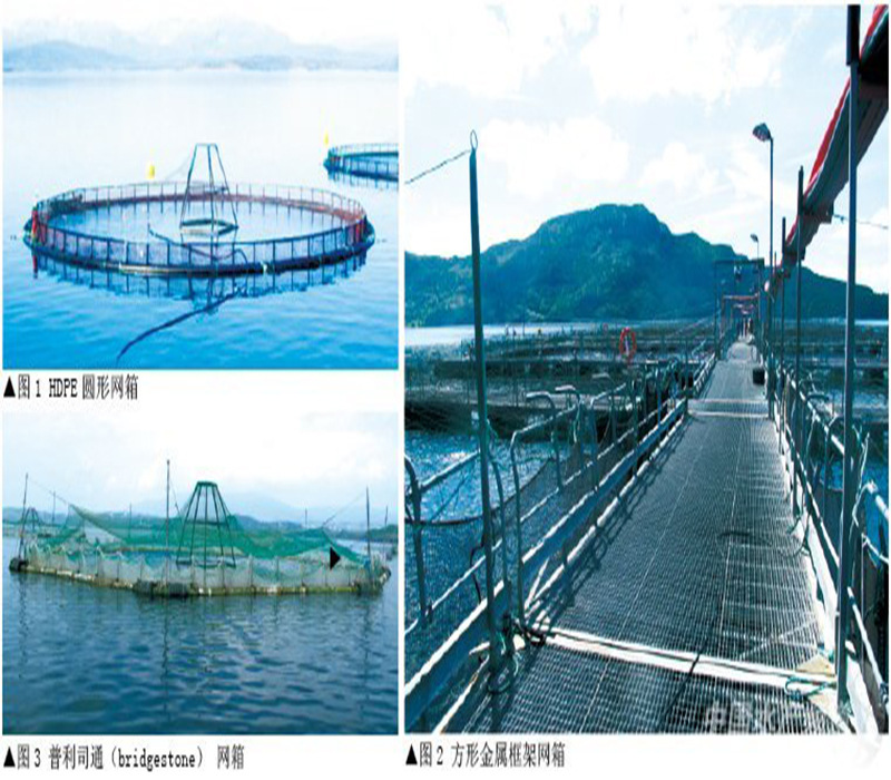 物聯網養殖監控廠傢,海洋牧場海洋漁業監測,水質傳感器批發價格批發・進口・工廠・代買・代購