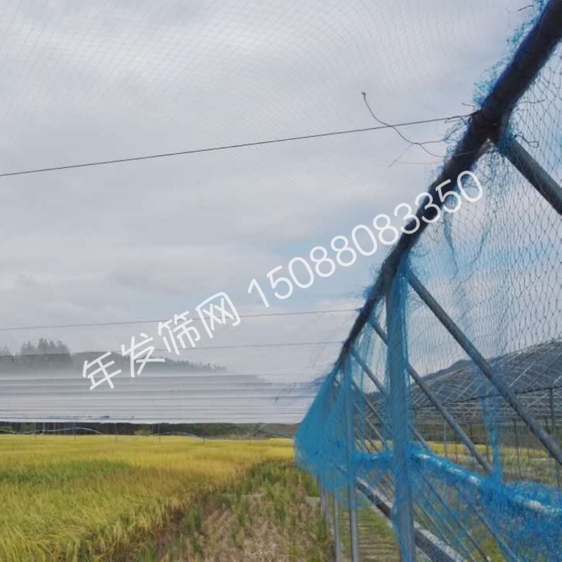 枸杞大棚防鳥網  各類農作物物理防治尼龍網  蔬菜防罩網批發・進口・工廠・代買・代購