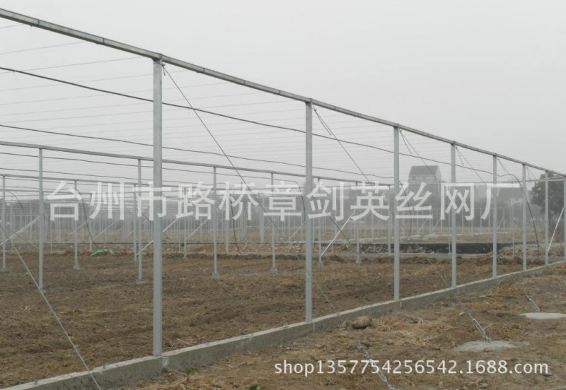 熱銷推薦 大棚尼龍防蟲網40目 大棚蔬菜防蟲網 塑料大棚防蟲網批發・進口・工廠・代買・代購