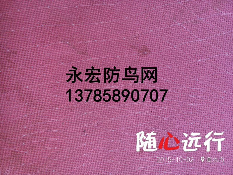 廠傢直銷0.5-5公分蘋果樹梨樹櫻桃防鳥網防護網純新料抗老化批發・進口・工廠・代買・代購