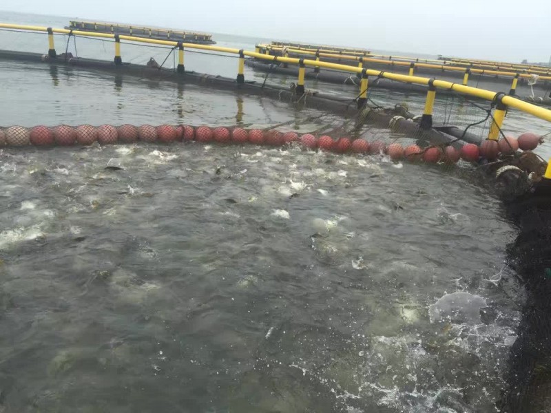 深海網箱 PE養魚網箱 水庫湖泊深水網箱批發・進口・工廠・代買・代購