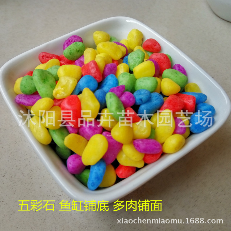 園藝裝飾用品 五彩石 批發 白色小石子 花盆鋪麵裝飾  魚缸專用批發・進口・工廠・代買・代購