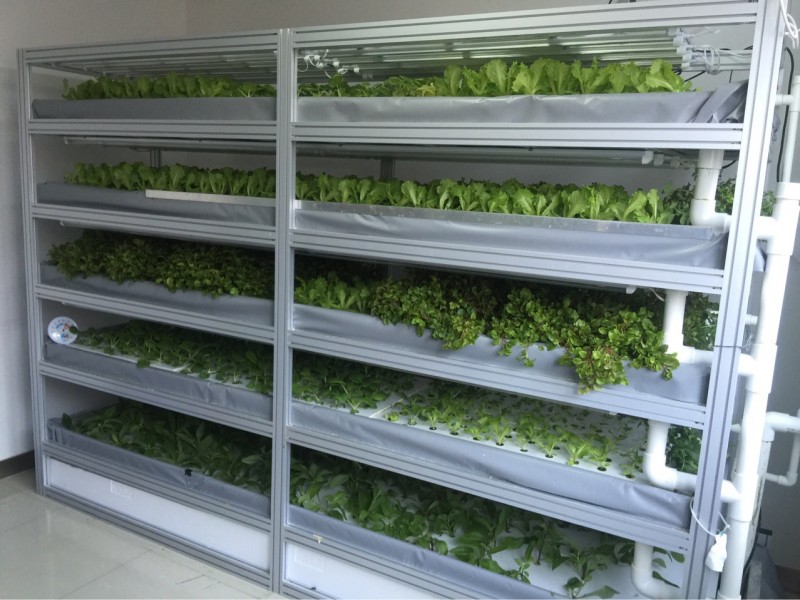 無土栽培室內燈光種植設備大中小型智能植物工廠特價定製批發・進口・工廠・代買・代購