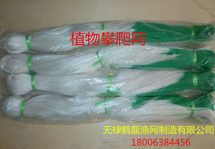 黃瓜網 山藥網 豆角網 苦瓜網 絲瓜網 植物攀爬網批發・進口・工廠・代買・代購