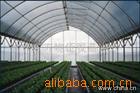 供應蔬菜 防蟲網 水產 養殖網 聚乙烯網 窗紗工廠,批發,進口,代購