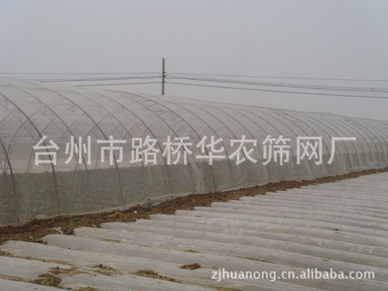 超寬蔬菜防蟲網罩臺州華農造工廠,批發,進口,代購