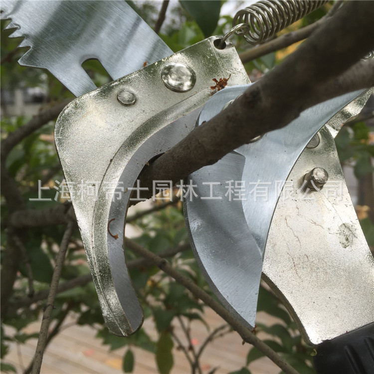 廠傢直銷5M高空鋸園藝修枝伸縮高枝剪鋸園藝剪刀 柯帝士批發・進口・工廠・代買・代購