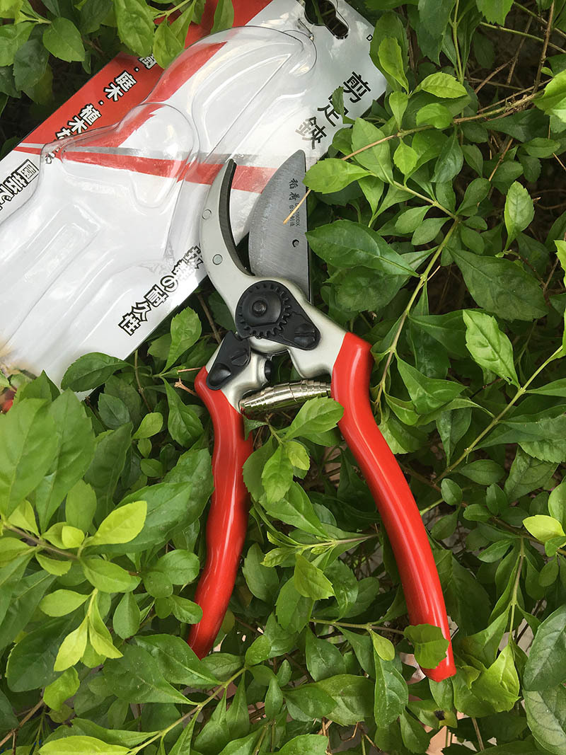 稻荷進口花剪修枝剪樹枝園藝剪刀粗枝剪園林剪果樹剪五金工具包郵工廠,批發,進口,代購
