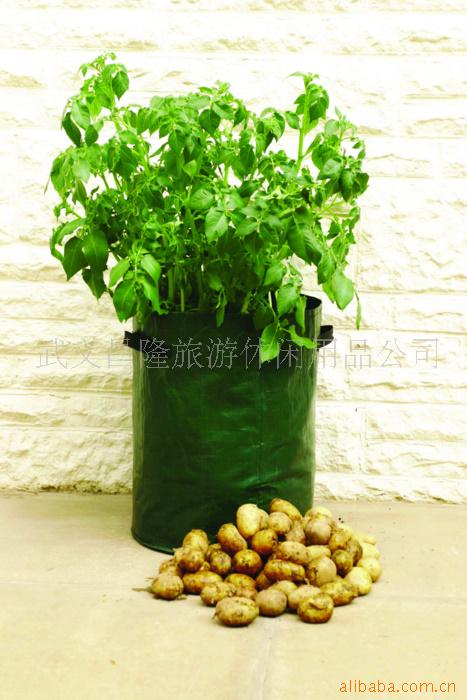 供應種植器(圖)批發・進口・工廠・代買・代購