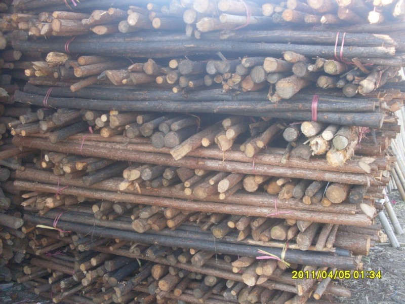 長期銷售北京綠化支撐杉木桿，竹竿1.5米 多種規格 綠化支撐用批發・進口・工廠・代買・代購