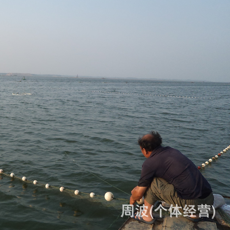洪瑞漁網 大量供應 生產加工優質精品  燈照網  品質保證批發・進口・工廠・代買・代購