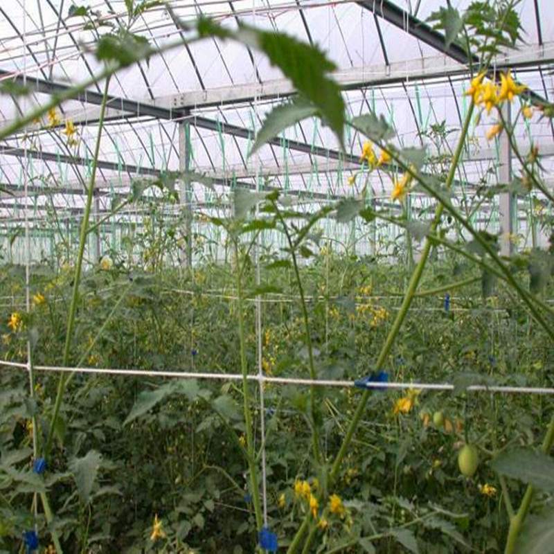 蔬菜幼苗嫁接機 果樹專用嫁接機 成活率高的嫁接機批發・進口・工廠・代買・代購