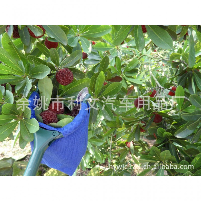 供應安全楊梅采摘工具---楊梅手 1.2米工廠,批發,進口,代購