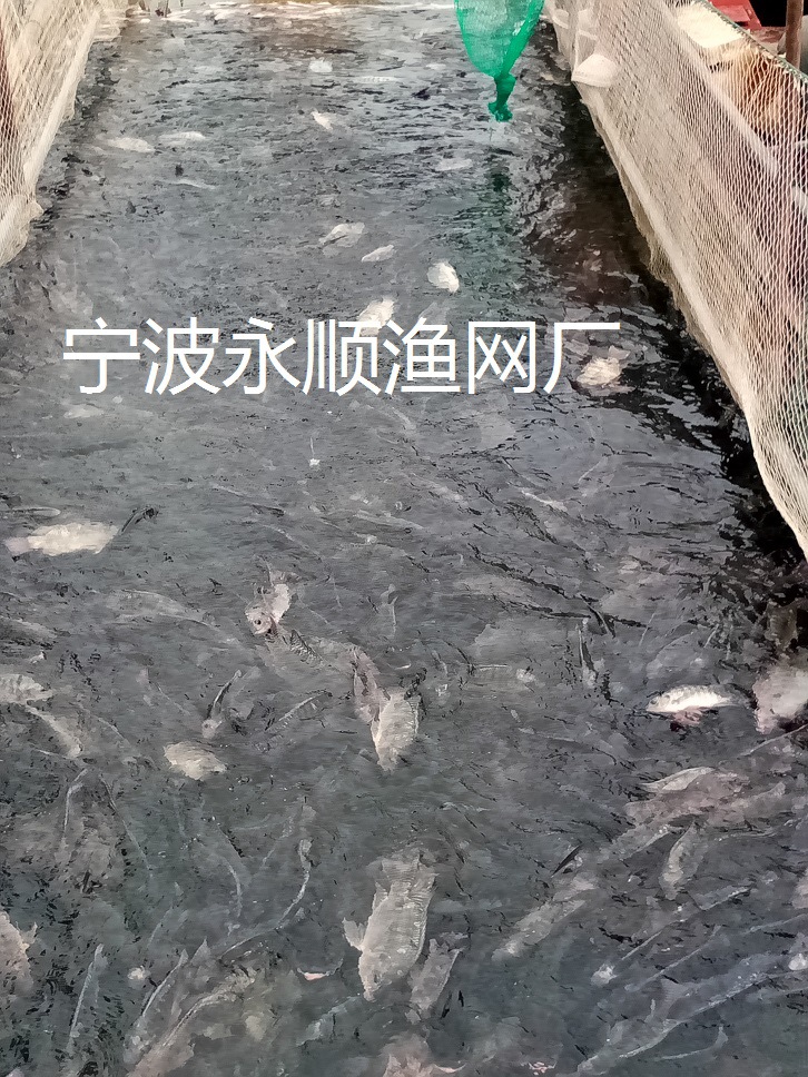浙江大型捕撈隊專業深水捕撈隊批發・進口・工廠・代買・代購