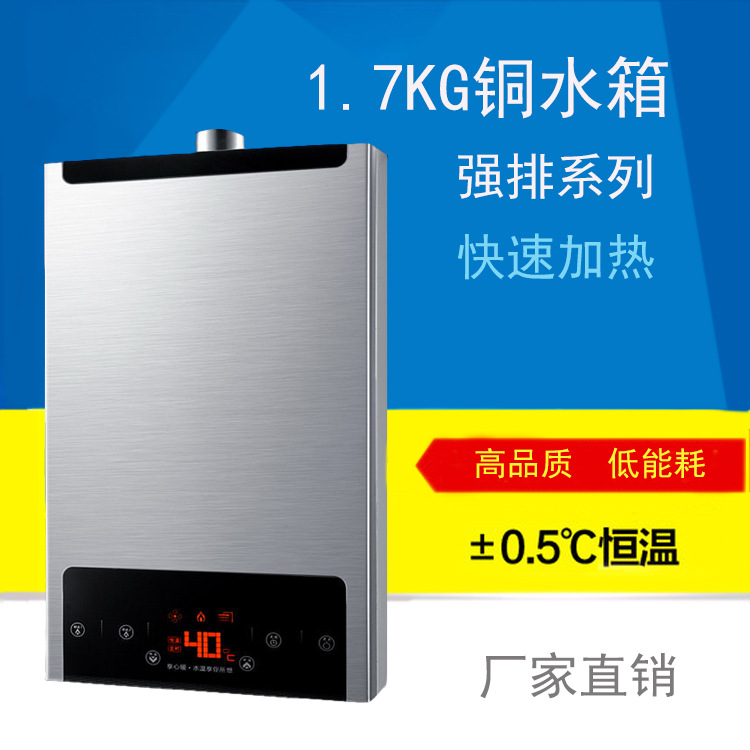 廠傢OEN 恒溫液化氣天然氣燃氣強排式熱水器工廠,批發,進口,代購