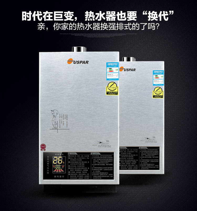 廠傢 熱水器即熱式天然氣燃氣熱水器10L液化氣強排熱水器12L批發・進口・工廠・代買・代購