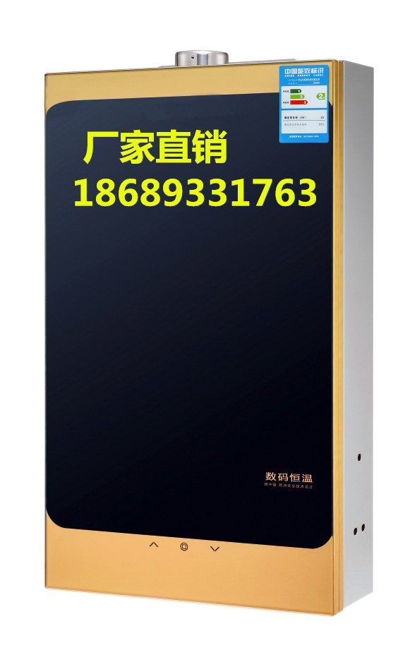 中山廠傢直銷智能恒溫強排式燃氣 燃氣熱水器批發・進口・工廠・代買・代購